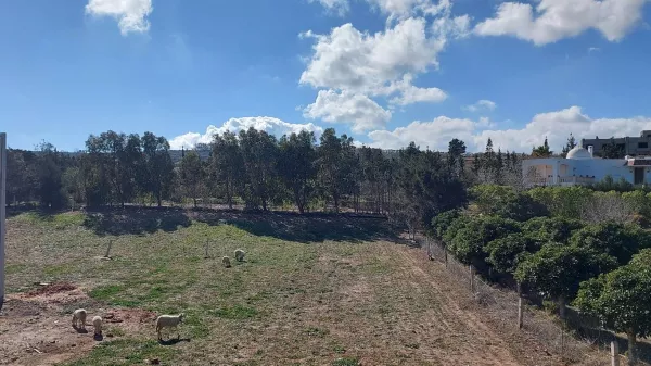 Breathtaking Hilltop Plot in Ezzahra