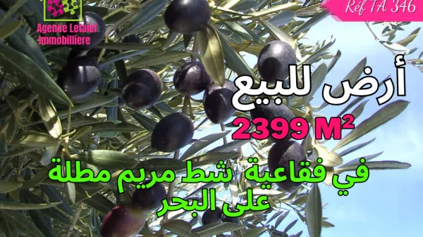 Agricultural Land with Breathtaking Views in Foukaia Chatt Meriem