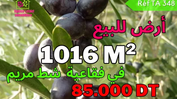 Introduction to the Property