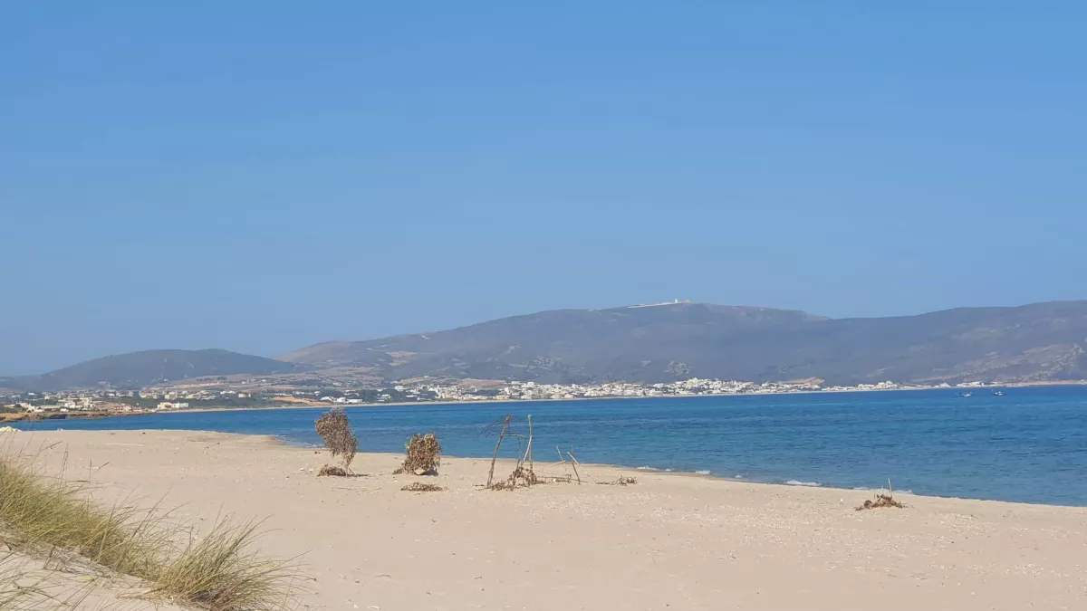 فرصة استثمارية استثنائية في دار اللوش قليبية: لا تفوت الفرصة!