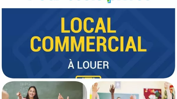 Introduction to the Perfect Opportunity