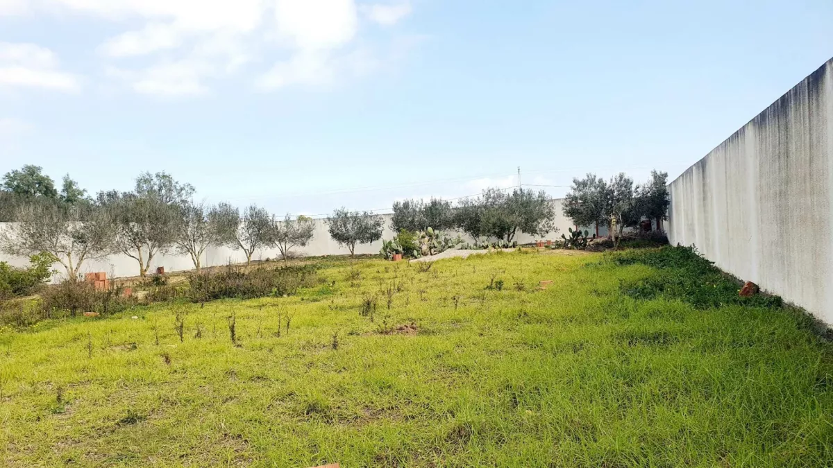 Exceptional Land Opportunity in Kelibia: 1247 m² of Prime Real Estate