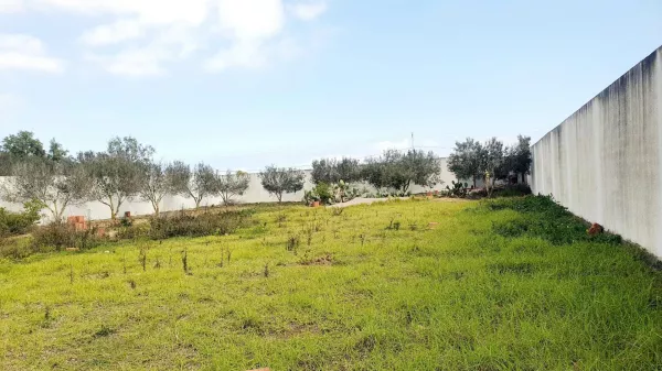Exceptional Land Opportunity in Kelibia