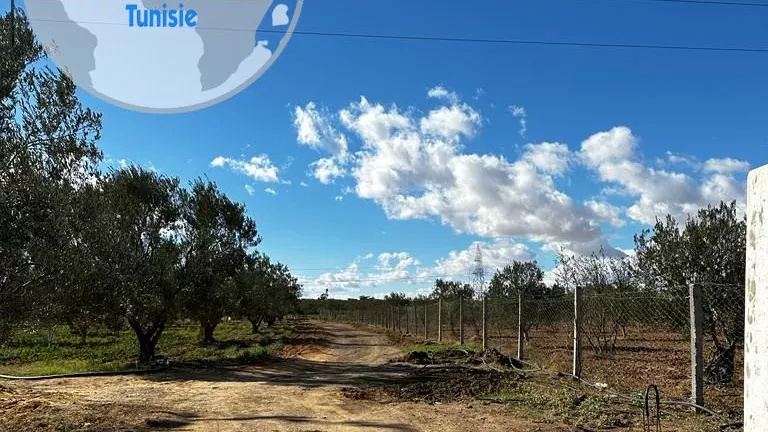 Stunning Farm in Kalâa Kebira
