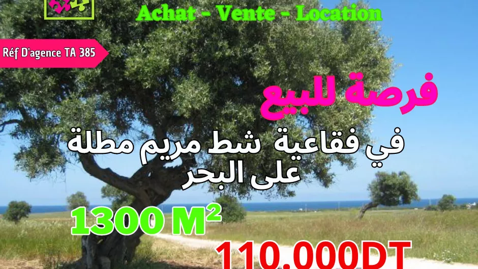 Agricultural Land with Olive Trees and Beautiful View in Foukaia, Sousse