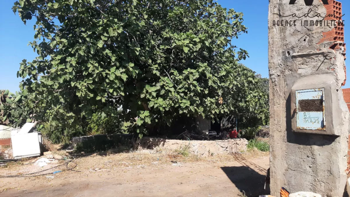 فرصة فريدة للأراضي الزراعية في داروفا، نابل