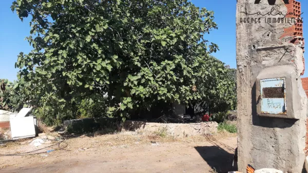 Unique Agricultural Land Opportunity in Daroufa, Nabeul