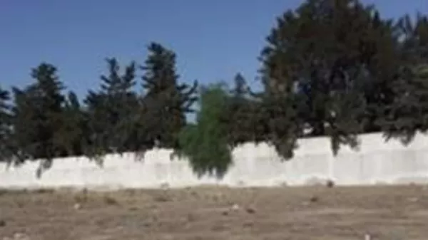 Exceptional 550m² Plot in Bhar Lazreg