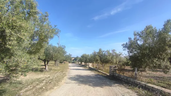 Exceptional Land Opportunity in El Bessbessiya, Hammamet