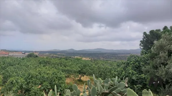 Unique Agricultural Land Opportunity in El Houaria, Nabeul - A Haven for Investors and Nature Enthusiasts