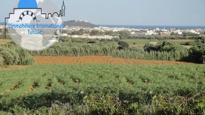 Eccezionale Azienda Agricola di 1,5ha a Kalaa Kbira, Sousse: Un'Opportunità Unica!