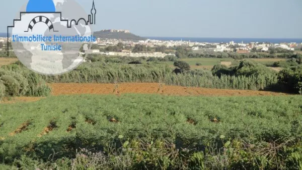 Exceptional 1.5ha Farm in Kalaa Kbira, Sousse