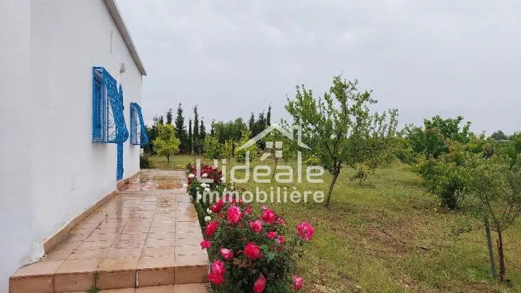 Dream Orchard in Borj Hfaiedh, Hammamet: A Haven at Your Fingertips