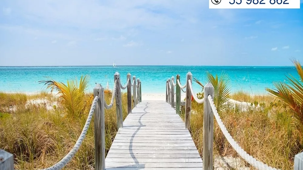 قطعة أرض استثنائية مساحتها 1000 م² للبيع في ذروافة، نابل