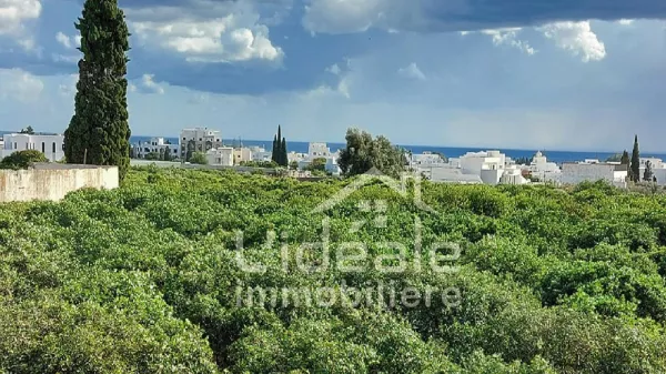 Spacious Villa Apartment for Rent in Hammamet