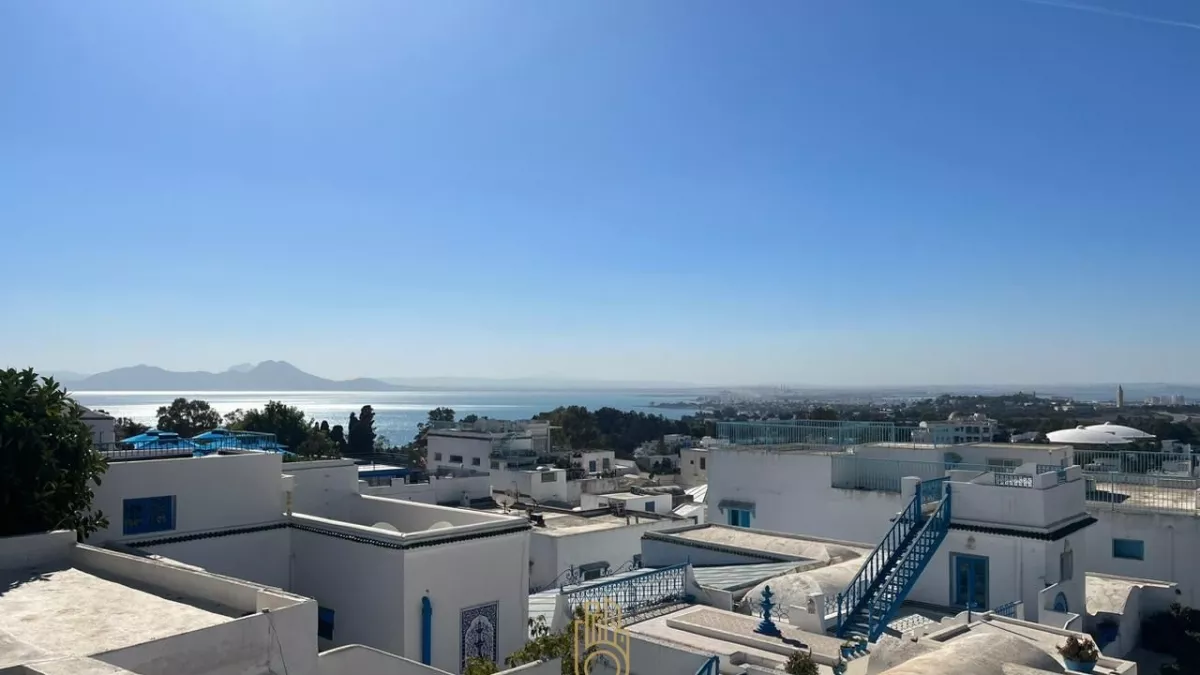 Incantevole Casa in Stile Arabesco S+3 a Sidi Bou Saïd: Un Rifugio di Eleganza
