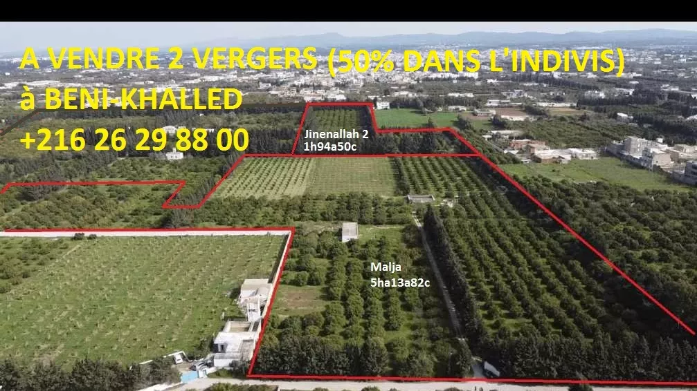 Occasione Unica di Investimento in Agricoltura a Citrus Orchards – Cap Bon