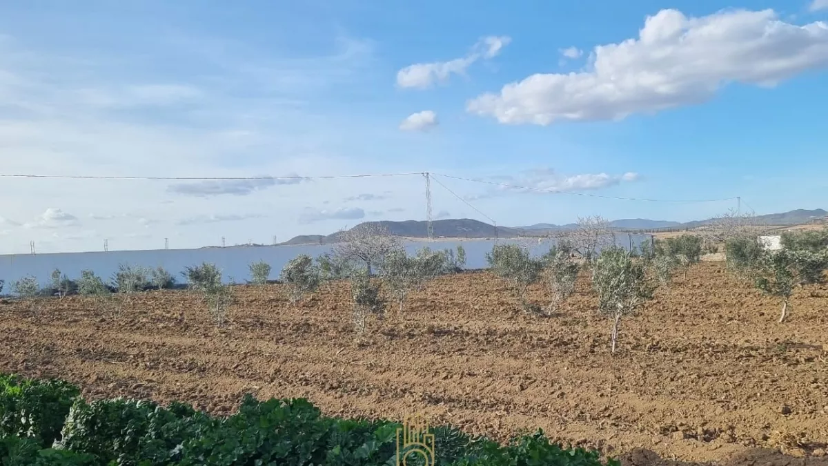 Terreno Agricolo in Vendita a Bouficha, Hammamet