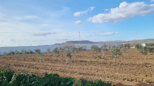 Agricultural Land for Sale in Bouficha, Hammamet