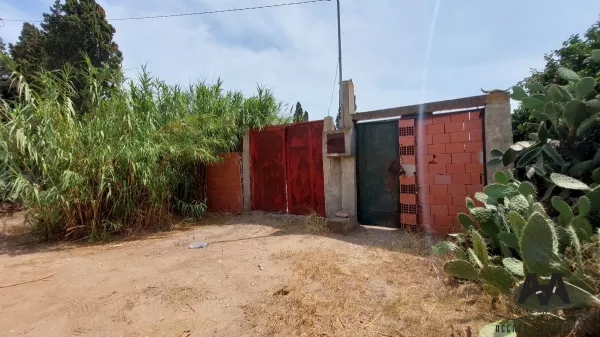 Dream Agricultural Land in Nabeul - 6277m² with Water and Electricity