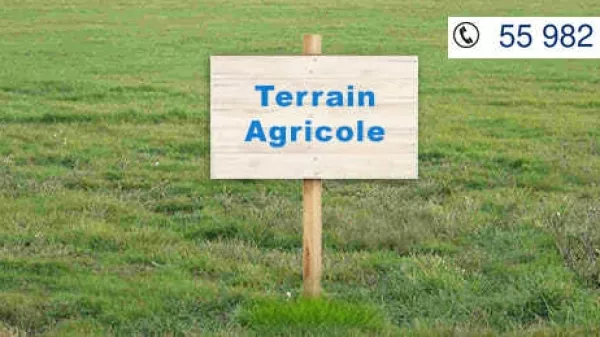 Sea View Agricultural Land in Tazarka