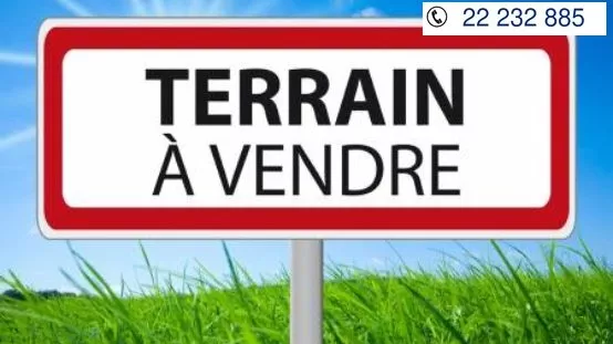 Exceptional 4406 m² Plot for Sale in Tazarka, Nabeul