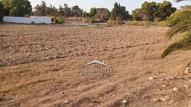 Einführung in eine Einmalige Gelegenheit