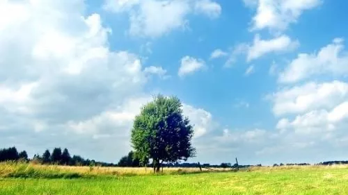 أرض زراعية استثنائية للبيع في أريانة - فرصة فريدة!