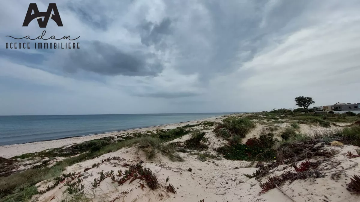 Exceptional Land for Sale in Jinen Beni Khiar, Nabeul - 311m² for 248,800 TND