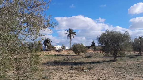 Dream Residence Investment Opportunity in Tellala, Djerba