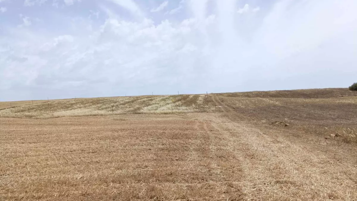 قطعة أرض استثنائية بمساحة 5000م² في حمامت السود: فرصة فريدة!