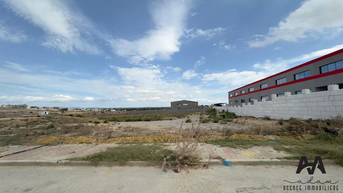 Terreno Industriale in Vendita a Nabeul - Zona di Bou Argoub