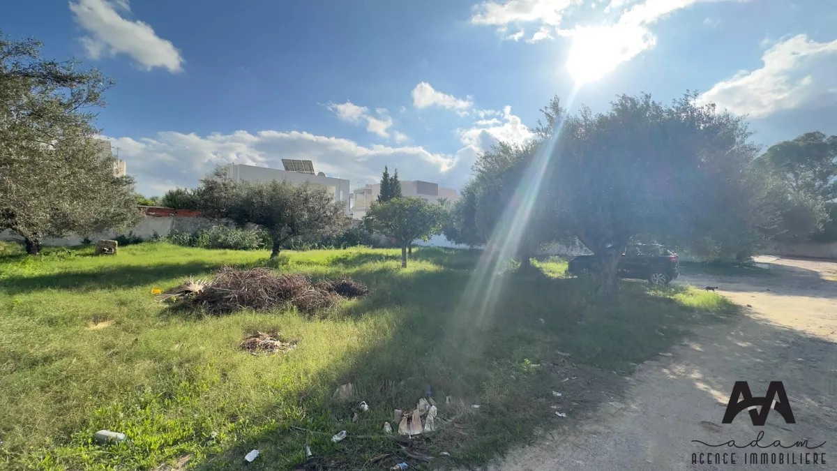 قطع سكنية معزولة مساحتها 574م² في سيدي ماهرسي - فرصة استثنائية!