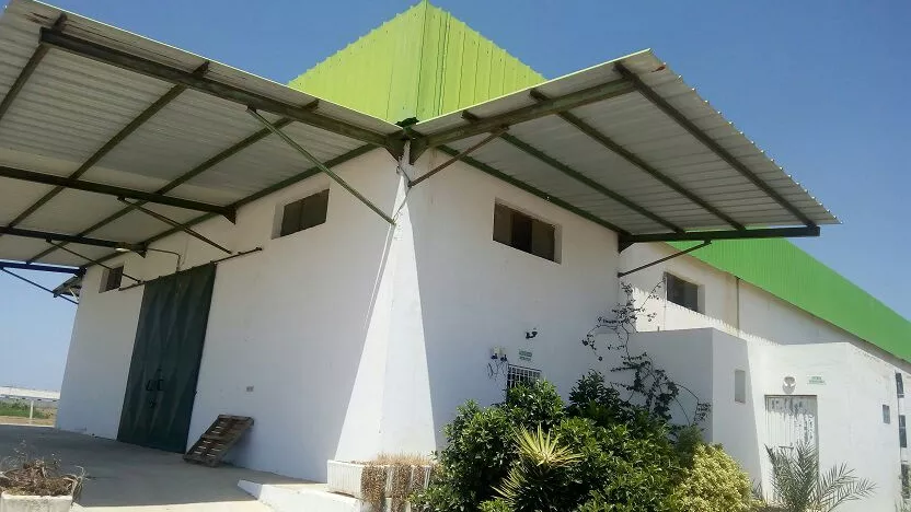 فرصة استثمارية استراتيجية في سليمانة: مستودع سليمان للتخزين البارد