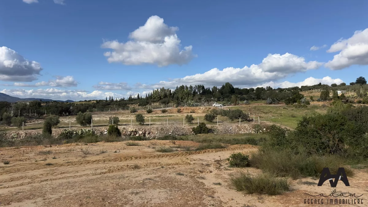 لمحة سريعة عن العقار