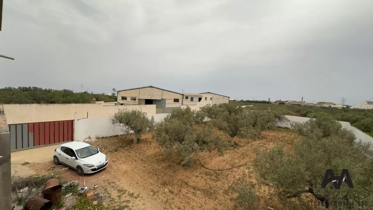 فرصة استثمارية متميزة في أراضي زراعية ببني الخيار