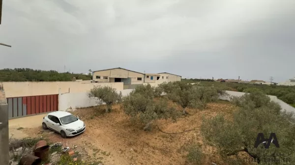 Eccezionale Opportunità di Terreno Agricolo a Beni Khiar