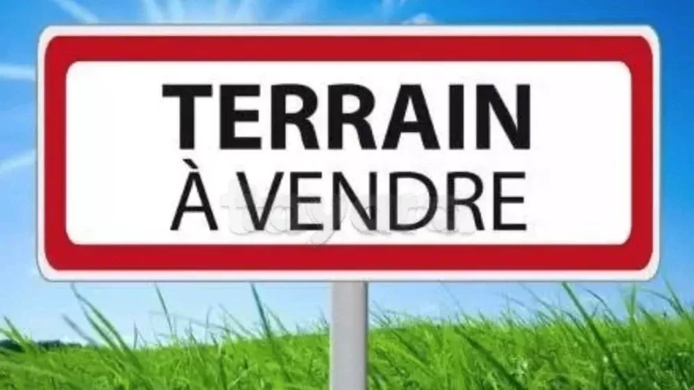 فرصة استثمارية استثنائية في سالكة، المهدية