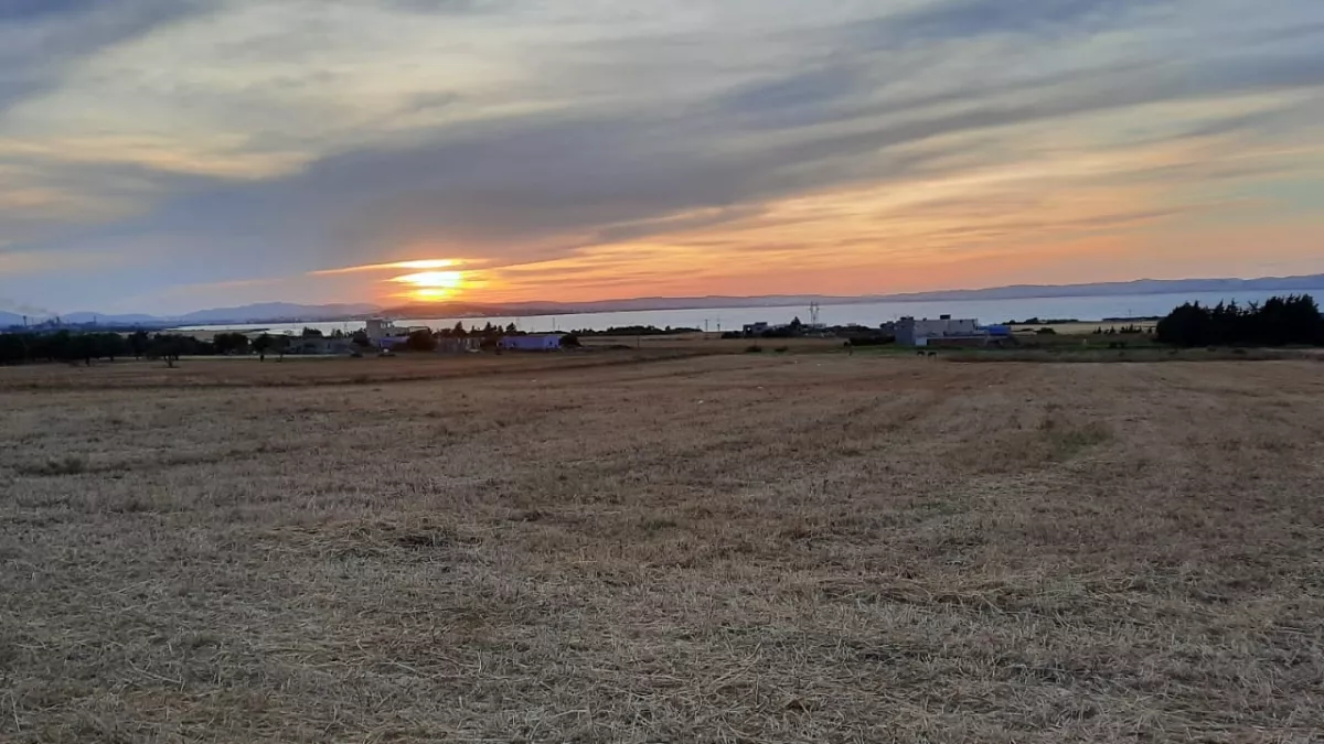 1000 m² Plot of Land – Close to Menzel Bourguiba