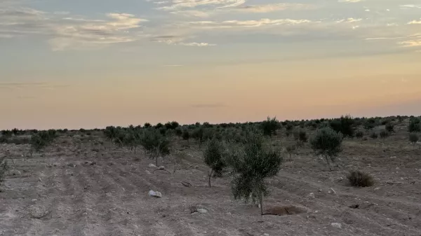 Exceptional Opportunity