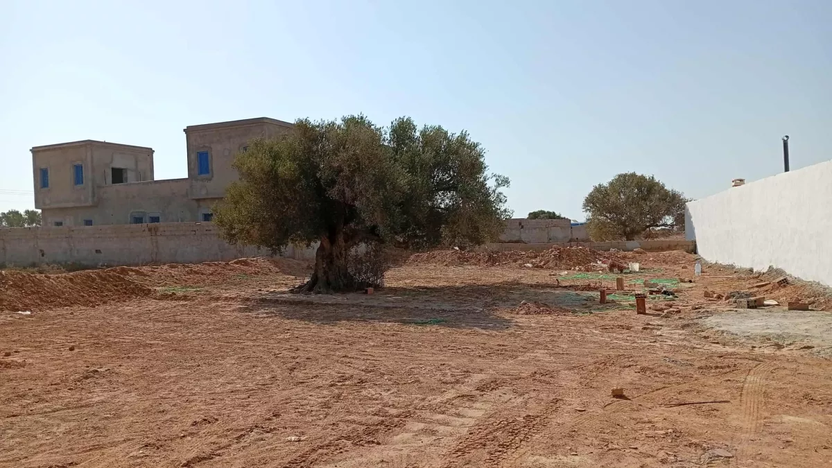 اتّصل اليوم واذهب في جولة ميدانية مجانية