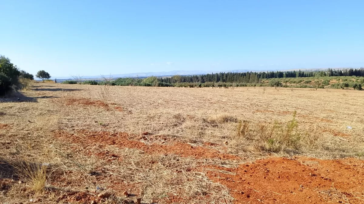 قطعة أرض بمساحة هكتار في سيدي ثابت جابس: استثمار مثالي في منطقة أريانة