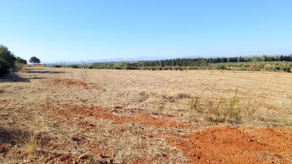 1-Hectare Plot in Sidi Thabet Jabbes