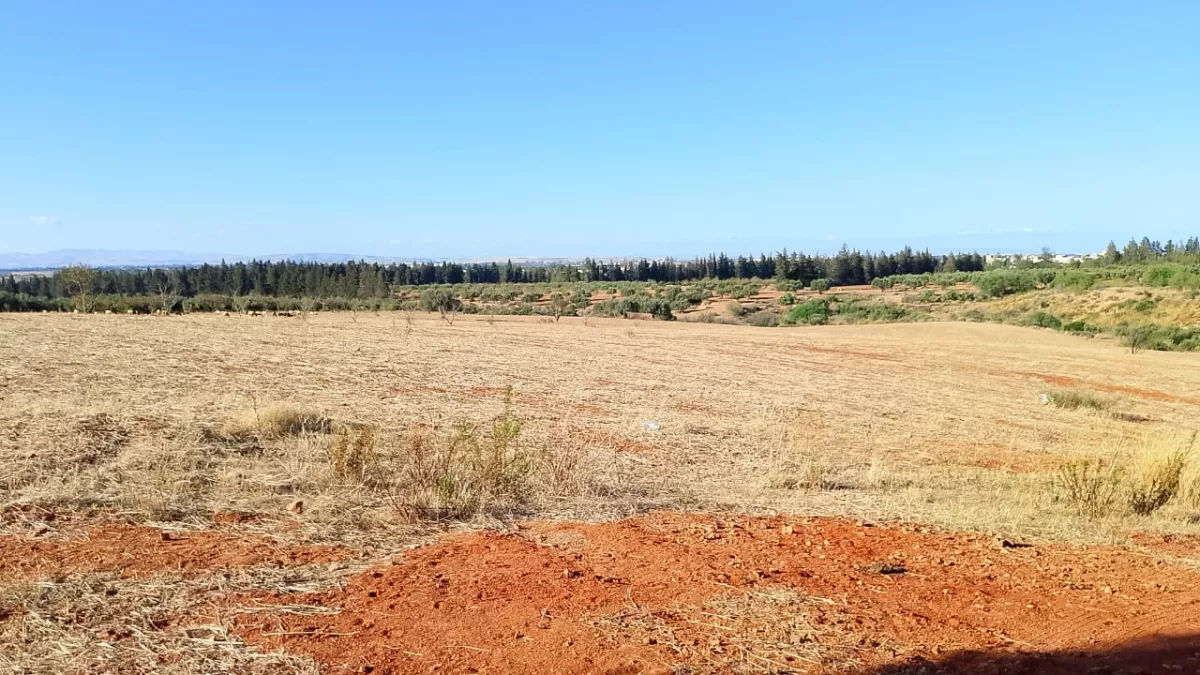 Introduction to the Property