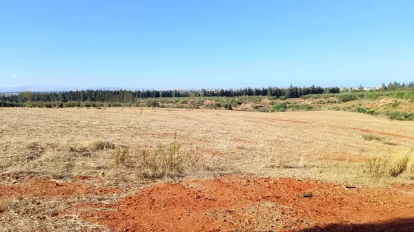 Introduction to the Property