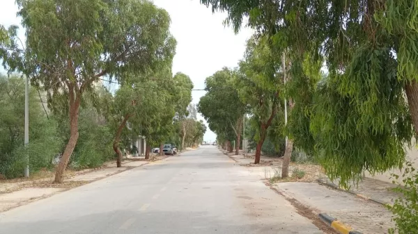 282m² Plot in Flamants Roses Development, Raoued