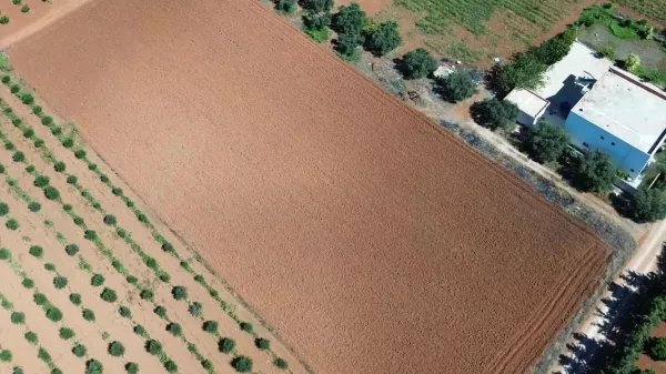 Unique Investment Opportunity