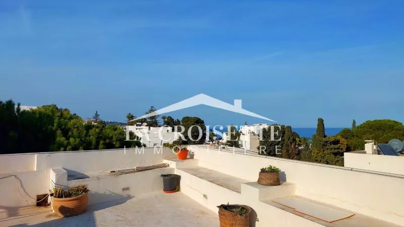 Luxurious Furnished S1 Apartment with Sea View Terrace in La Marsa - MAL1952