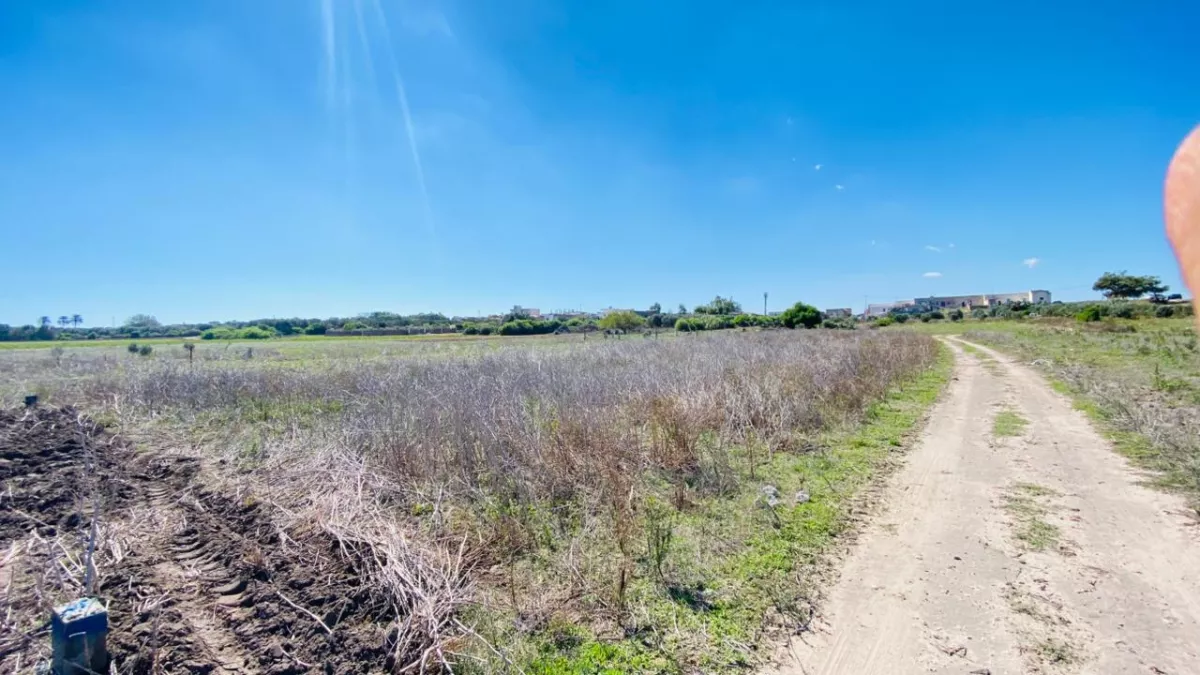 Beachfront Land for Sale in Kerkouan, Kelibia: A Dream Investment Opportunity