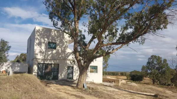 Agricultural Land with House and Olive Trees in Sousse